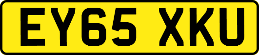 EY65XKU