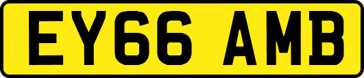 EY66AMB