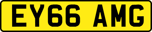 EY66AMG
