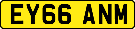EY66ANM