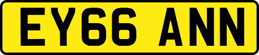 EY66ANN