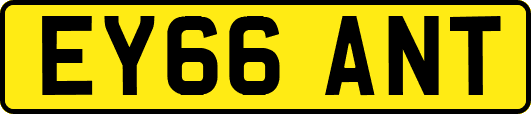 EY66ANT
