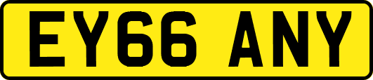EY66ANY