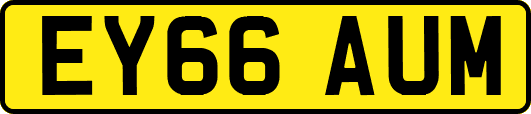 EY66AUM