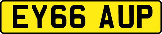 EY66AUP