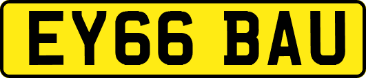 EY66BAU