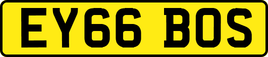 EY66BOS