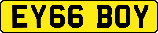 EY66BOY