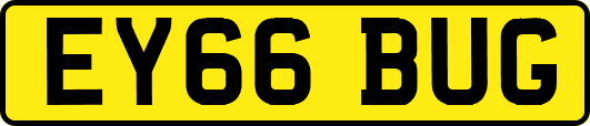EY66BUG
