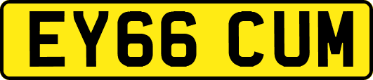 EY66CUM