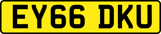 EY66DKU