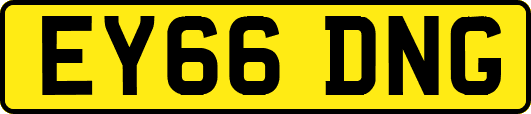 EY66DNG