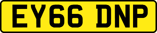 EY66DNP