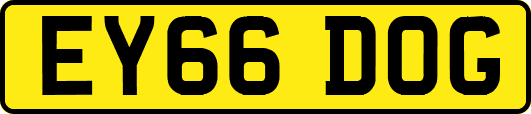 EY66DOG