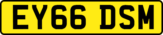 EY66DSM