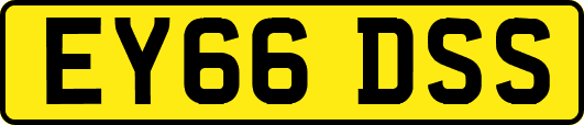 EY66DSS