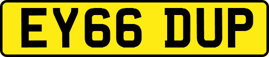 EY66DUP