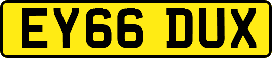 EY66DUX