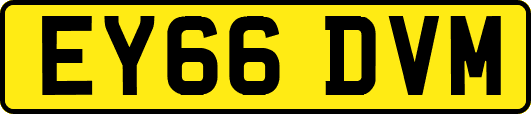 EY66DVM