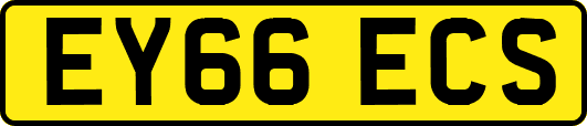 EY66ECS