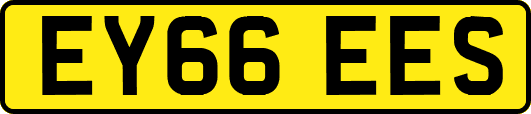 EY66EES