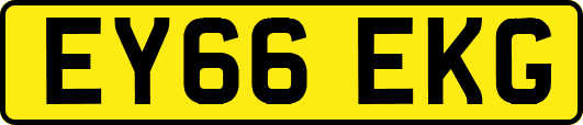 EY66EKG