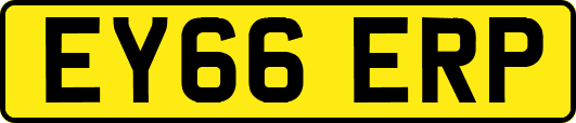 EY66ERP