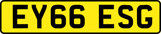 EY66ESG