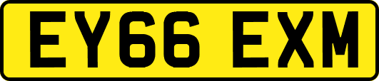 EY66EXM