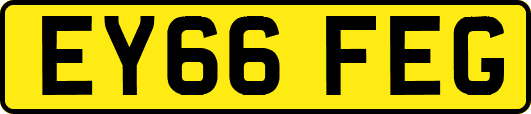 EY66FEG