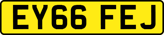 EY66FEJ