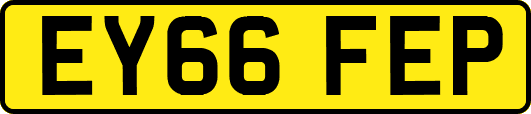 EY66FEP