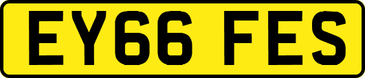 EY66FES