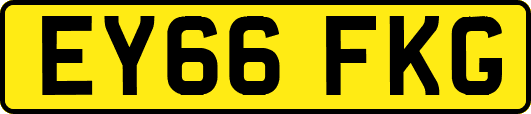 EY66FKG