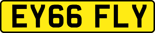 EY66FLY