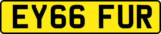 EY66FUR