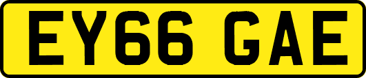 EY66GAE