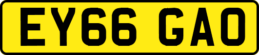 EY66GAO