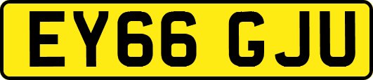 EY66GJU