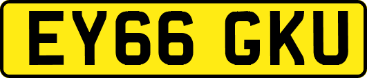EY66GKU