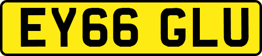 EY66GLU