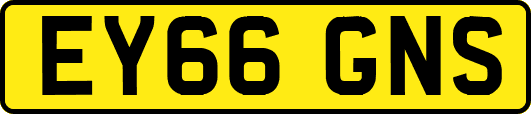 EY66GNS