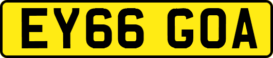 EY66GOA