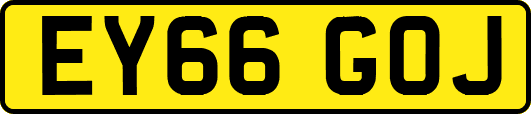 EY66GOJ