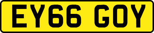 EY66GOY