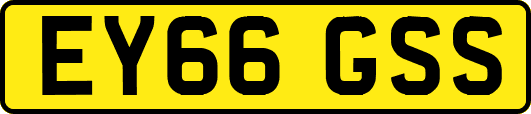 EY66GSS
