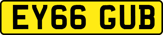 EY66GUB
