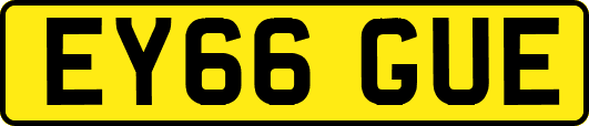 EY66GUE