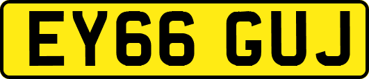 EY66GUJ