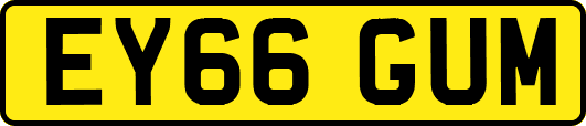 EY66GUM